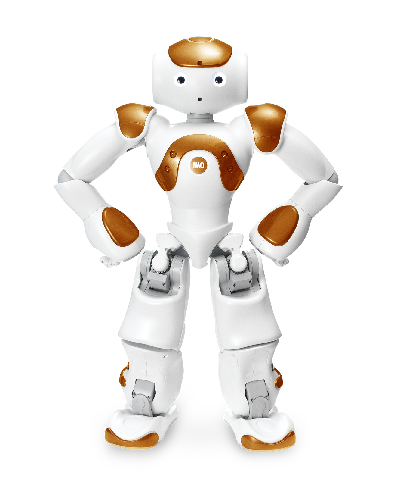 NAO Robot Power V6 AI EDITION for Research